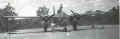 22sqn01.jpg (33020 bytes)
