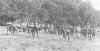 falsecape07.jpg (41679 bytes)