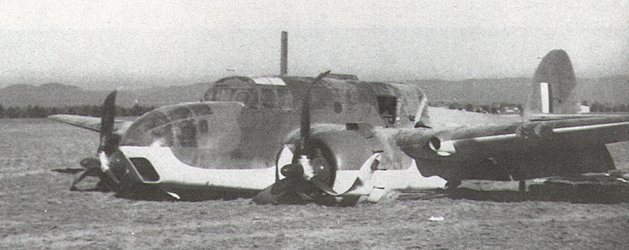 beau02.jpg (37547 bytes)