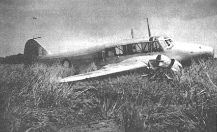 cairns1b.jpg (30573 bytes)