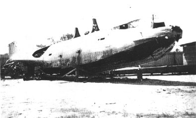 cat04.jpg (18119 bytes)