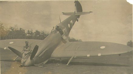 fel50.jpg (16436 bytes)