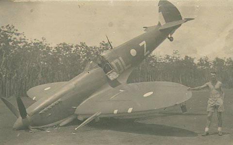 fel94.jpg (25035 bytes)