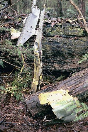 vic117b.jpg (67519 bytes)